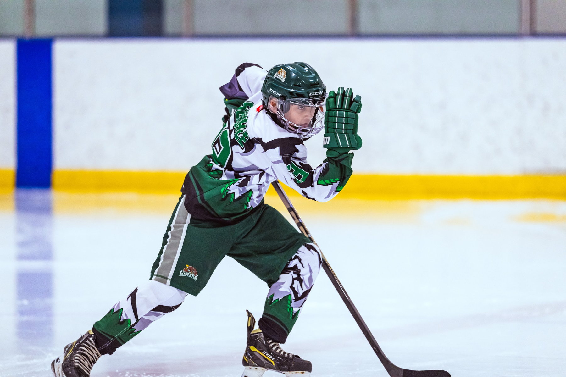 2016 Everett Selects
